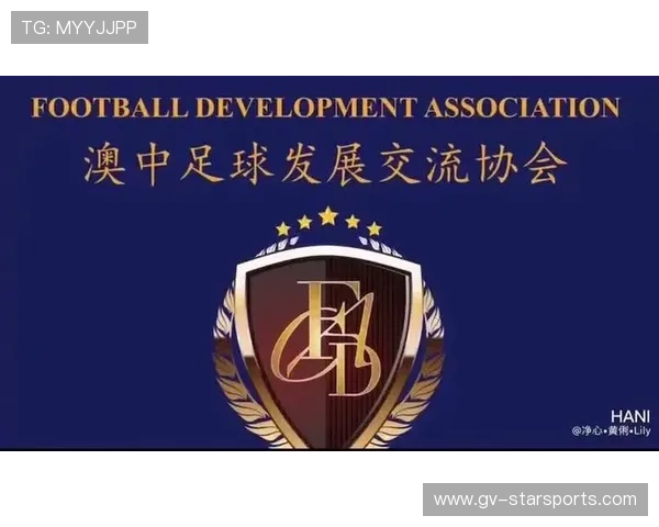 俱乐部与企业合作推进青少年足球发展基金(85 ) 俱乐部与企业合作推进青少年足球发展基金(85 )